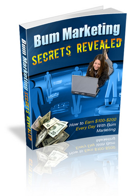 Product picture Bum Marketing Secrets Revealed - plr+bonus